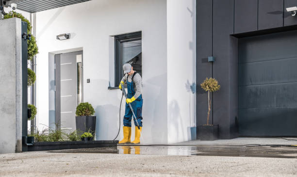 Best Building Exterior Washing  in South Jacksonvle, IL